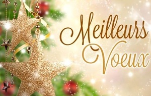 __BONNE ANNÉE 2016__