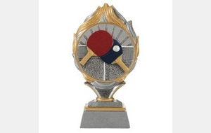 Poules du championnat par équipes sénior