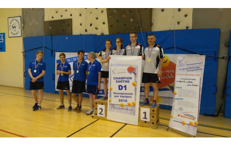 Champion de Sarthe en D1