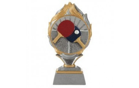 Poules du championnat par équipes sénior