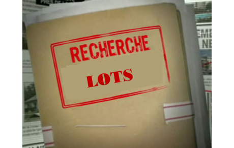 Recherche de Lots